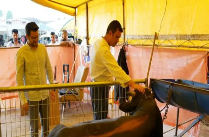 Başkan Sarıkurt Kurban Satış Merkezinde İncelemelerde Bulundu