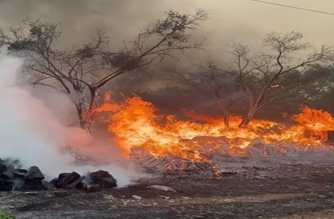 Antalya'da orman yangını sürüyor: Neden çıktığı belli oldu!