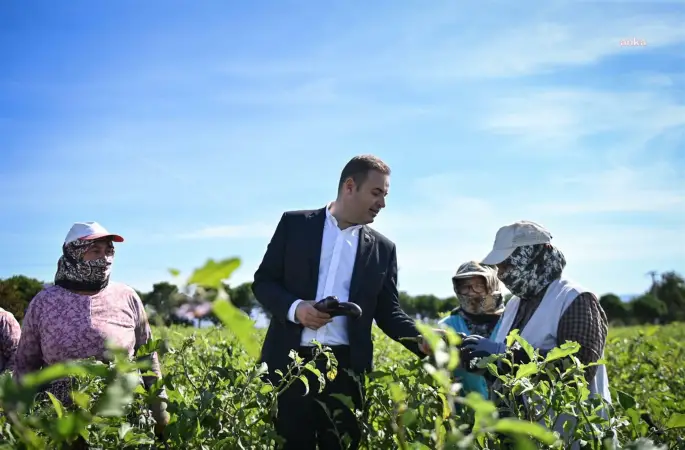 Balıkesir Büyükşehir Belediye Başkanı Akın’dan patlıcan toplayan kadın çiftçilere sürpriz ziyaret