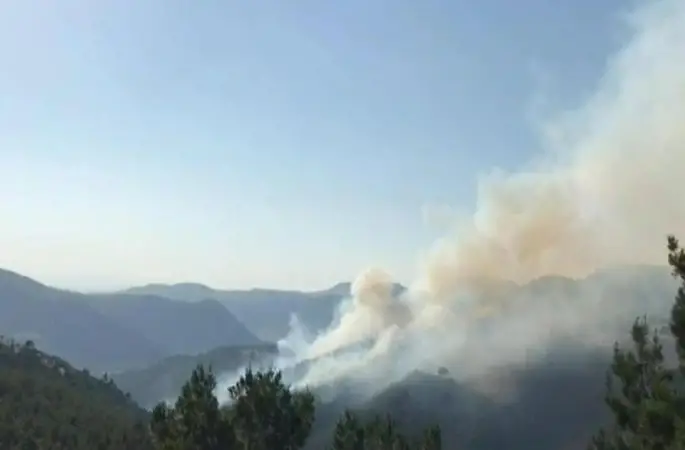 Balıkesir 'Sındırgı ilçesinde orman yangını