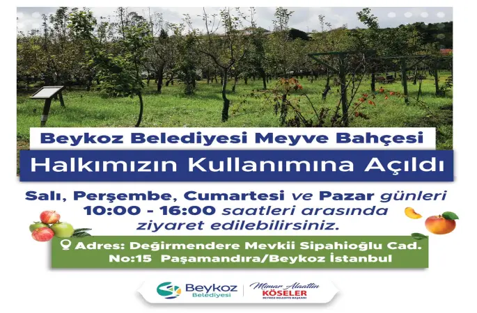 Beykoz Beledisi Meyve Bahçesini Yeniden Hizmete Açtı…