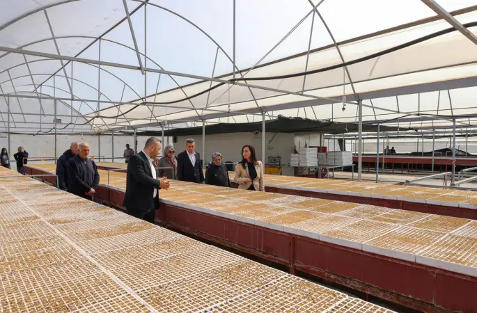 Beykoz Belediyesi Tarımda Öncü Olmaya Devam Ediyor, Beykoz’da Üreticiye 1 Milyon 500 Bin Adet Fide Desteği Sağlanacak