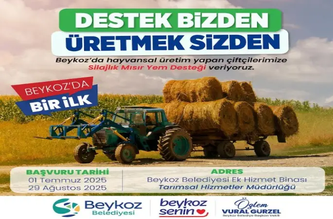 Beykoz Belediyesince Beykoz’da Üretilen Silajlık Mısır, Değerinde Alım ile Yerli Hayvancılığa Destek Oluyor