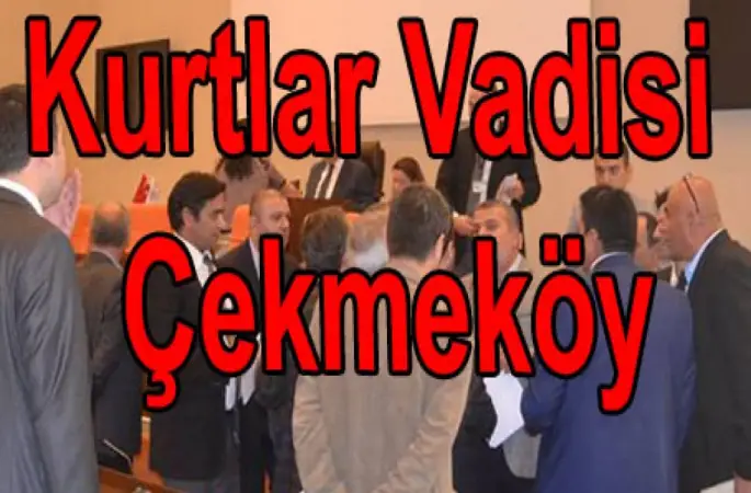 Çekmeköy Meclisinde Bir İlk 