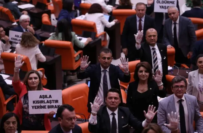 CHP'den sokak hayvanları yasa tasarısına protesto: 'Kanlı yasaya hayır'