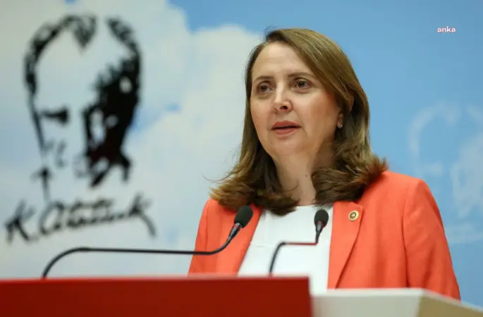 CHP'li Dinçer: “AKP iktidarı 23 yıldır yaptığı düzenlemelerle doğamızı, ormanlarımızı, zeytinliklerimizi yok ediyor"