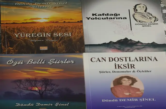 DÖNDÜ ŞİNEL'den  DİLENCİ YERİNE KONDU EMEKLİ