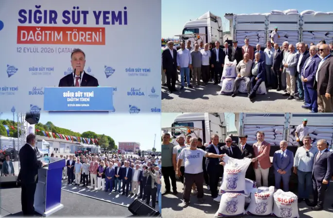 İBB’den Üreticiye Yem Desteği: Çatalca’da Sığır Süt Yemi Dağıtıldı