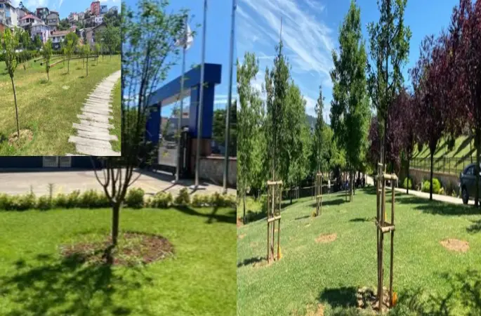 İstanbul Meyve Verecek: İbb Park Ve Bahçelere Meyve Ağaçları Dikiyor