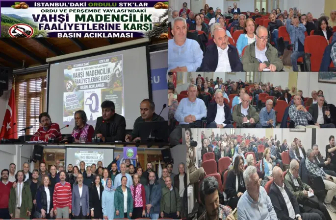 İstanbul’da Dev Zirve: Ordulu STK’lardan “Vahşi Madenciliğe” Karşı Tarihi Dayanışma