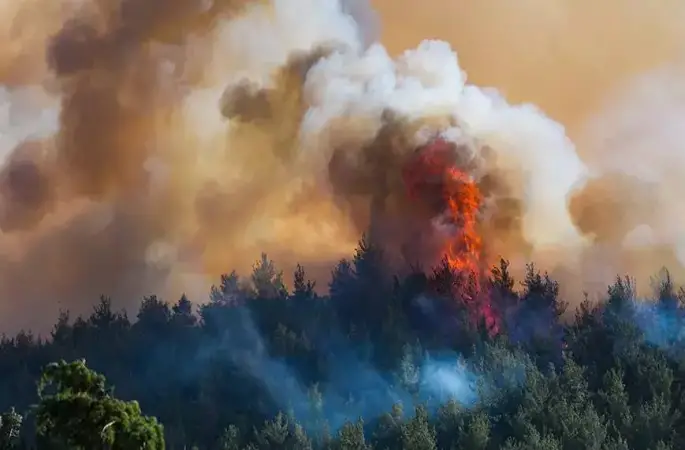 İzmir de 5 ilçede yangınla yoğun mücadele devam ediyor.