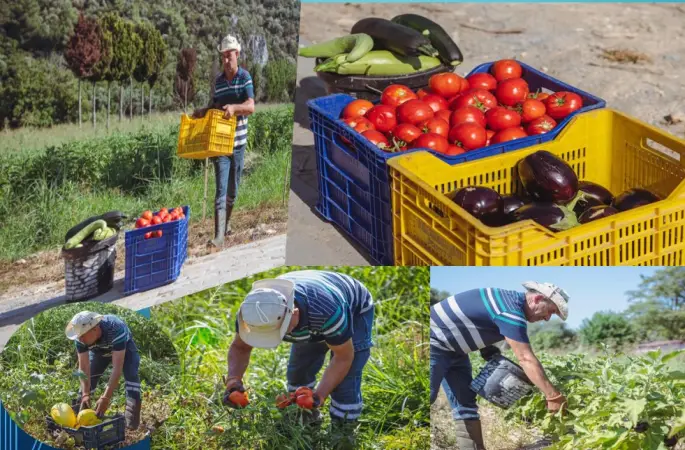 Kuşadası’nda Yazın Bereketi Adabahçe İle Yaşanıyor