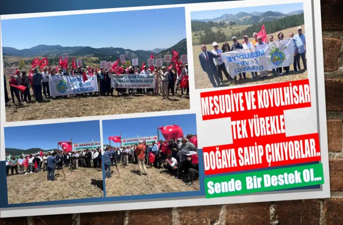 MESUDİYE VE KOYULHİSAR TEK YÜREKLE DOĞAYA SAHİP ÇIKIYORLAR..
