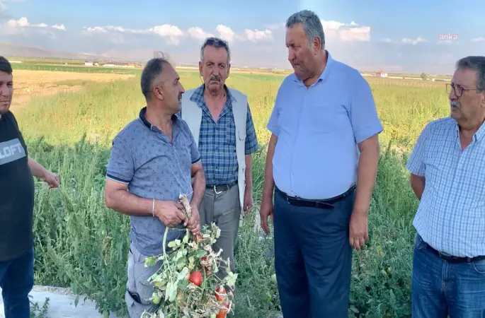 Ömer Fethi Gürer, domates üreticilerinin derdini dinledi...