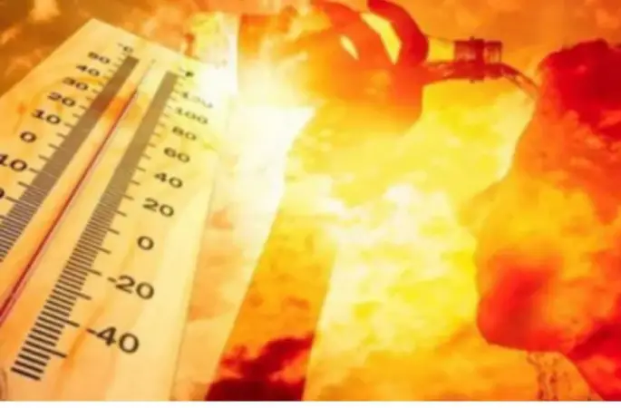 Sıcaklar Kasıp Kavurmaya Devam Ediyor