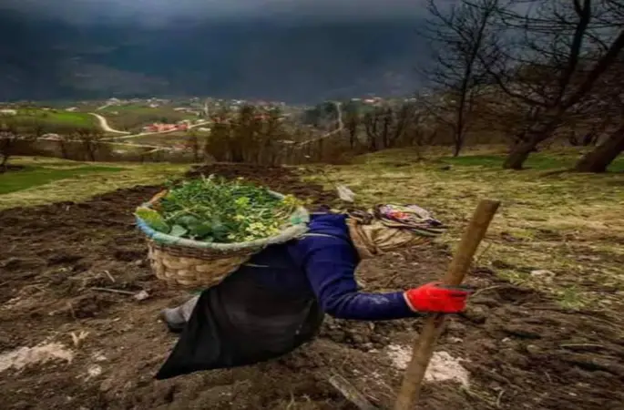 Tarımda Kadın Emeği'nin Yeri