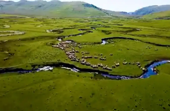 TEMA’nın organizatörlüğünde ve Fatsa Doğa ve Çevre Derneği’nin katkılarıyla Ordu'da madenciliğe karşı panel yapılıyor