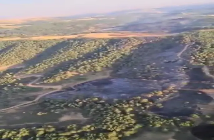 Uşak ve Bilecik’te orman dışı alanlardaki yangınlar kontrol altında, Geyve’de müdahale sürüyor