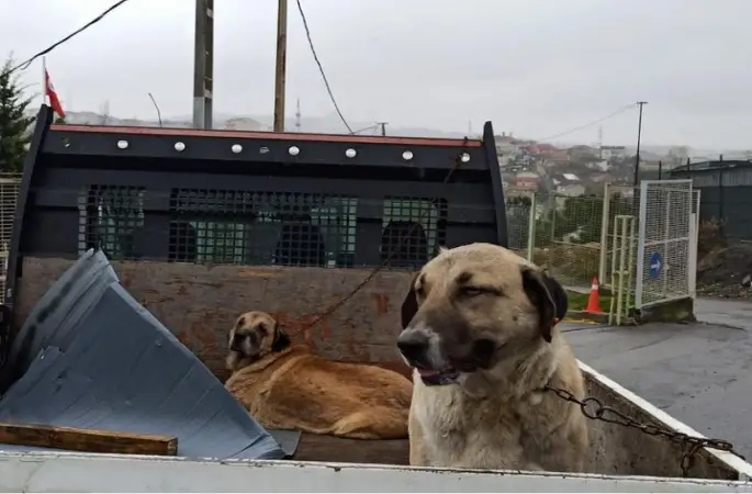 Vaadedilen Cehennem, Ölüm ve Tecrit Kampları AHMET CANER ALTAY YAZDI